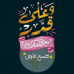 Ahmed Sabry Kamel