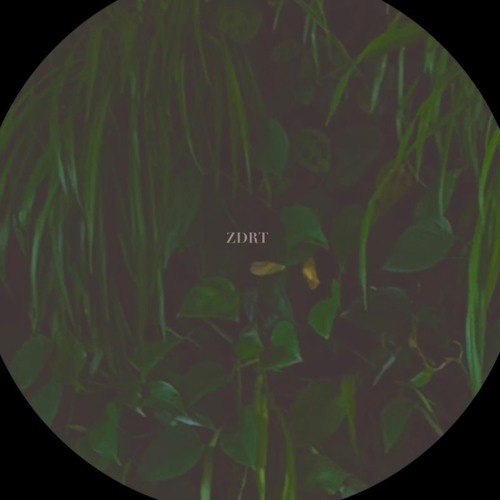ZRT’s avatar