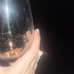 sunrays on the meadow