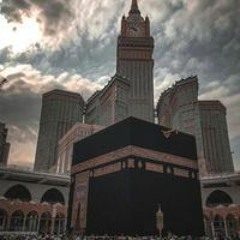 Mardimb2