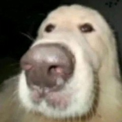 peter