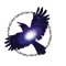 Astro Crow