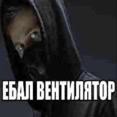 Dy4