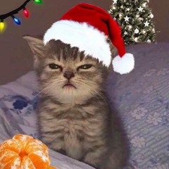 𝓬𝓾𝓸𝓷𝓰  𝕵𝖗