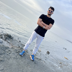 ervinamin11