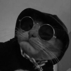 Binary Boogie