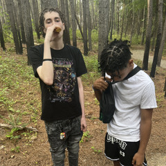 CallMeKash