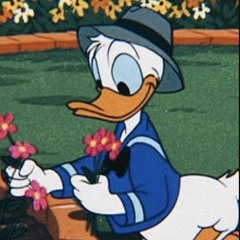 Mr.Duck