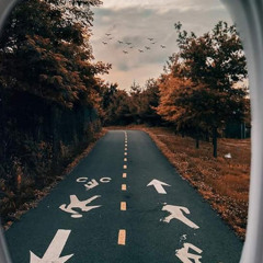ثبات حتى الممات