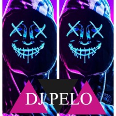 Dj PELO