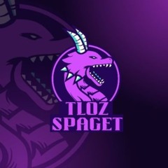 TlozSpaget