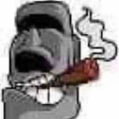 MR PHONK DUDE