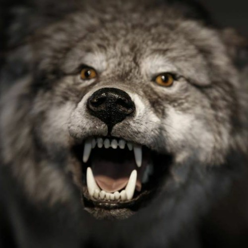 Vasilis Karras ft Alximistes - Logia Filika