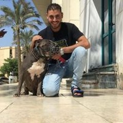 مصطفى البرى