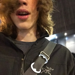 flygaric