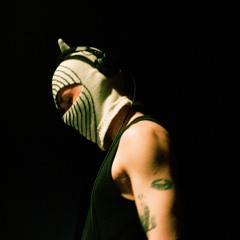 S1GE