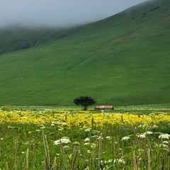 Majestic Mix - Stephen Kennedy