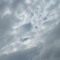 chunchun_3939