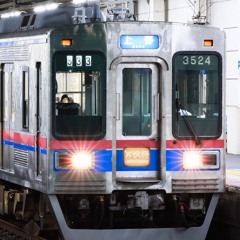 竹