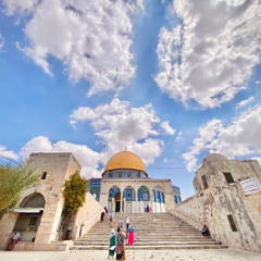 Mohammad F Isaid
