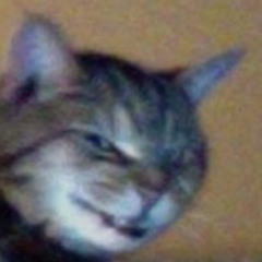 soggy