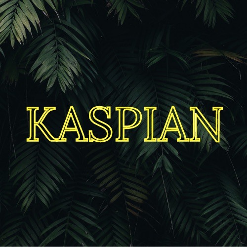 KASPIAN’s avatar