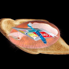 prichoskakakranaalda
