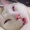 minhoag