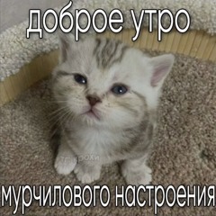 доктор пенис