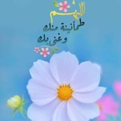 Sahar Abdelstar