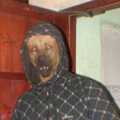 ReinerTheGod