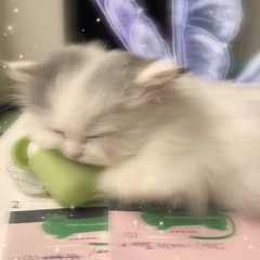 yuki