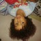 chezbx!