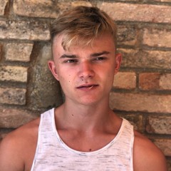 Bram Giskes