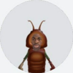 Sarinho
