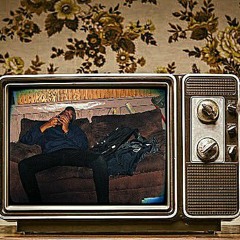 Niyu "Vivid Project"