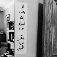 نورا أحمد لاشين