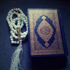 علا فتحي