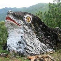 Sonam Tshering Lhop