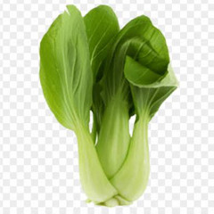pakchoi boi
