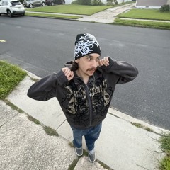 Vert_bert_666
