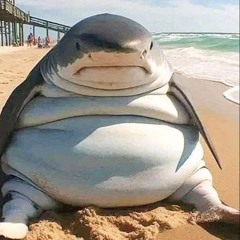 Fatass shark