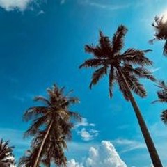 Putry Putry