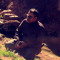 محمد الطلاسي