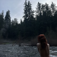 deer in the clublights