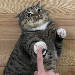 buddie
