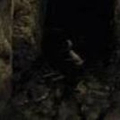 truesifer @trueshangin