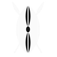 iMARA
