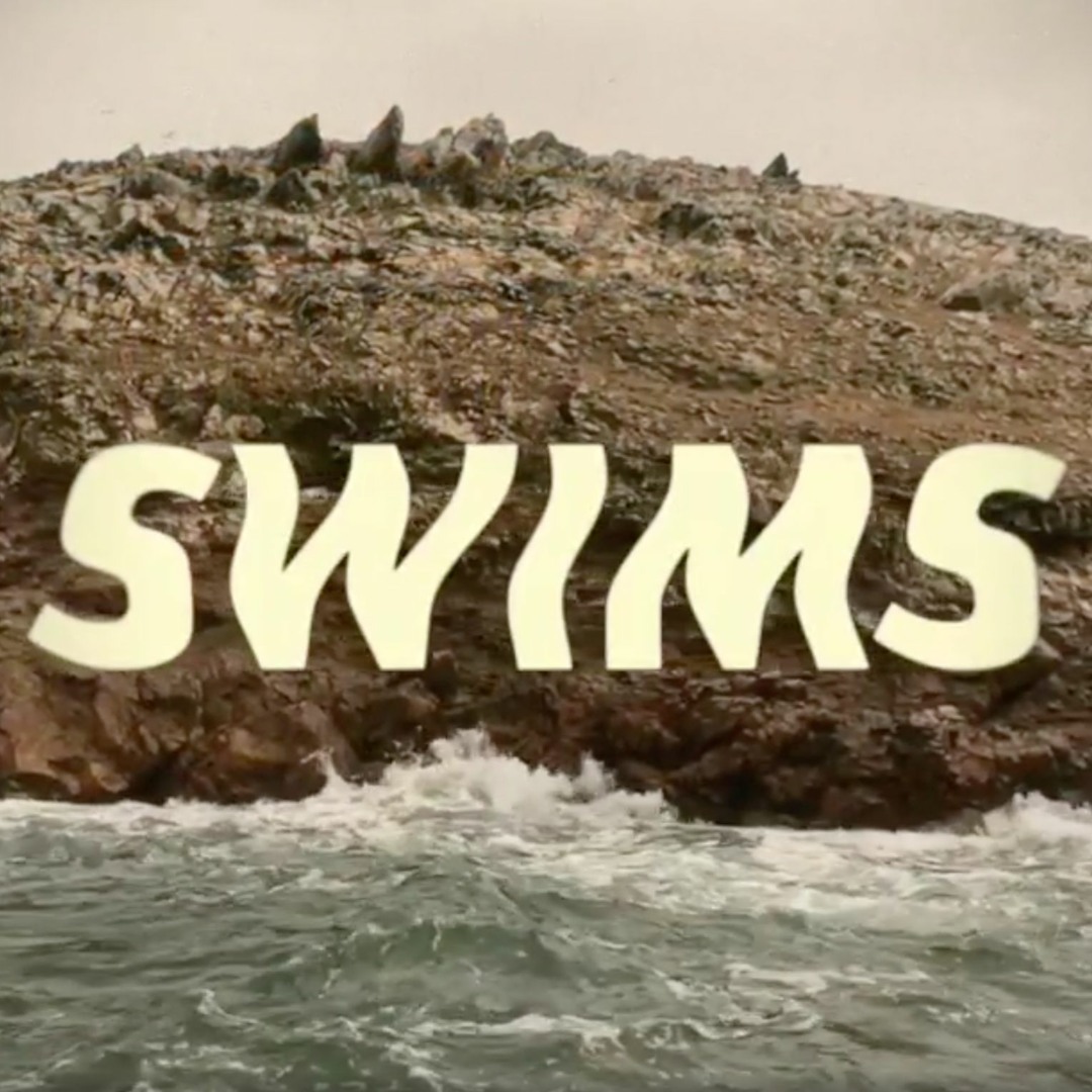 Stream SWIMS music | Listen to songs, albums, playlists for free on ...