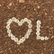 Logy. Ahmed